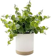 Coferset Small Fake Plants Eucalyptus Ceramic Potted Artificial Plants for Shelf Desk Home Bathro...