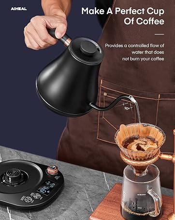 Electric Gooseneck Kettle