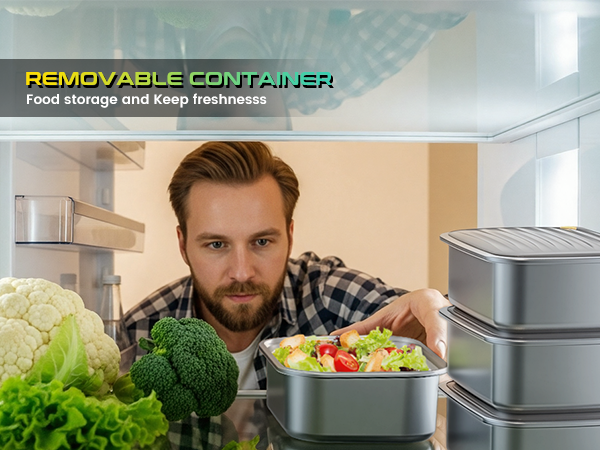 electric lunch box