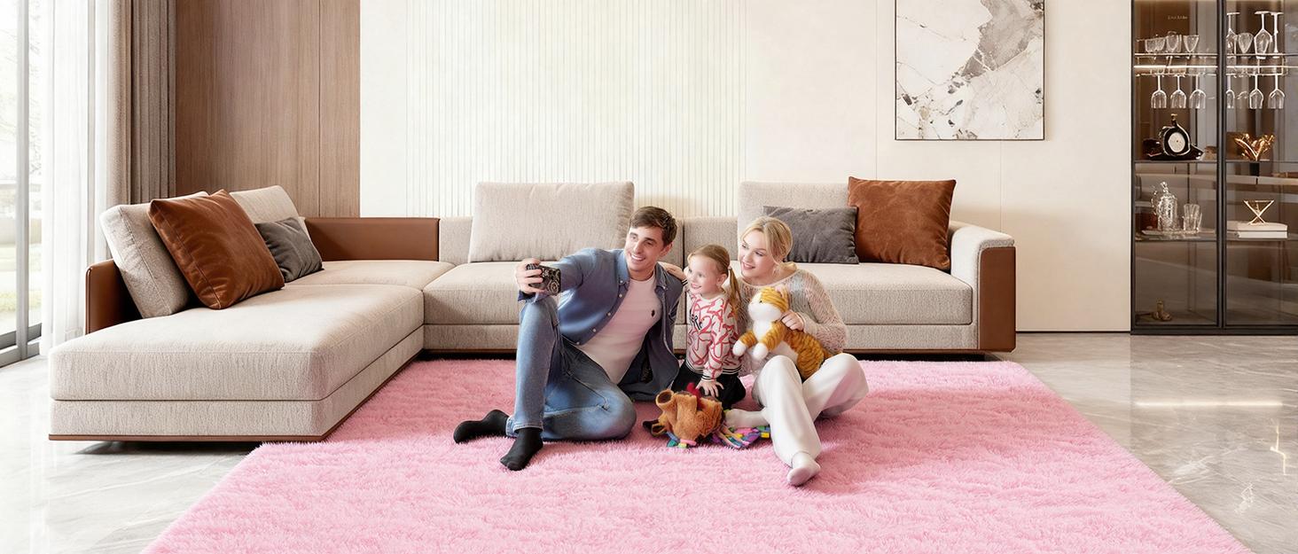 Ehayx Soft Fluffy Area Rugs for Living Room Bedroom