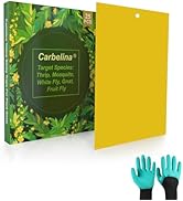 Carbelina Gnat Sticky Traps for Plants, Plant Bug Sticky Traps Indoor/Outdoor, with Gardening Glo...