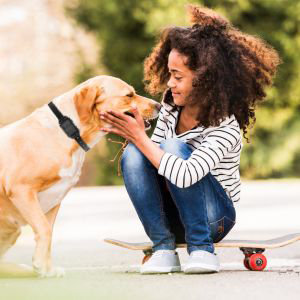 dog training collar with remote