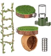 Jumping Spider Hideout Kit with Magnetic Walnut Cave, Moss Platform, Climbing Rope & Drinker, Spi...