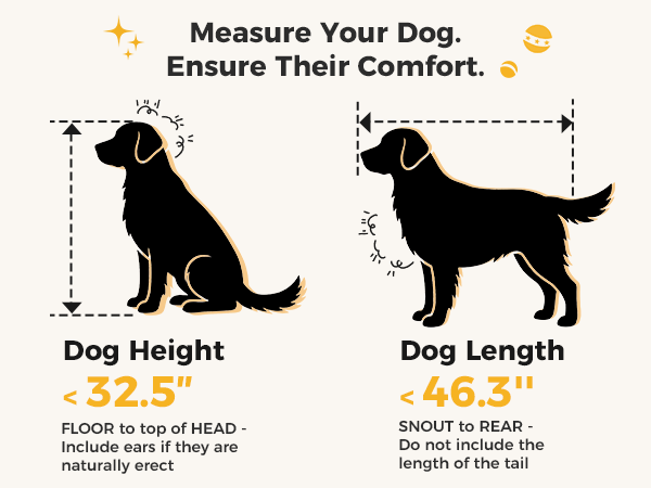 how to measure dog