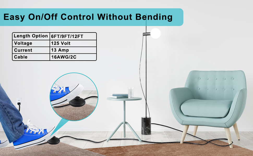 2 Prong Power Cord with Foot Switch