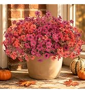 Artificial Fake Mums Flowers Plants for Outdoors Autumn Decorations,12 Bundles Faux Mums Silk Dai...