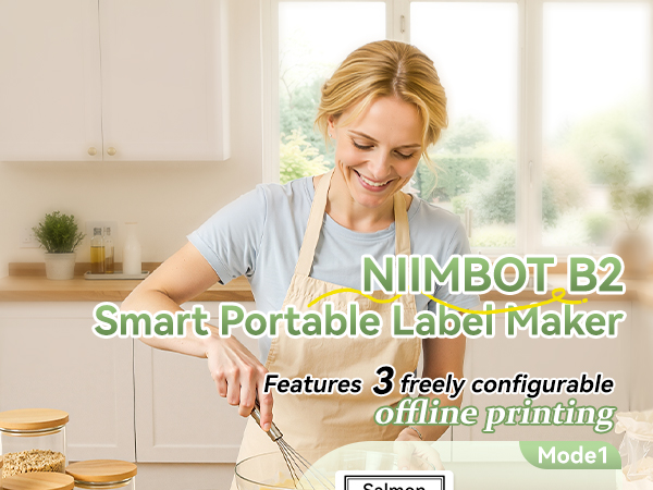 NIIMBOT B2 Label Maker Machine with Tape, Portable Bluetooth Label Printer with Multiple Templates