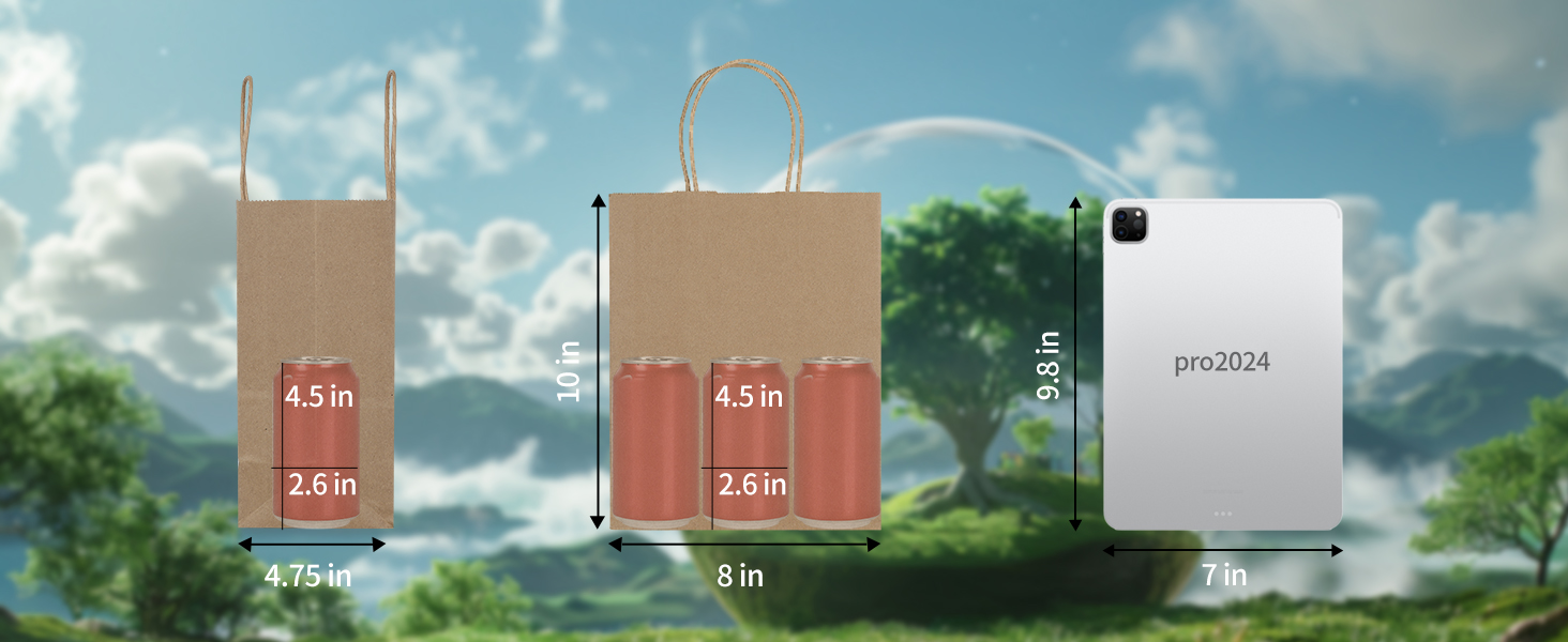 Medium Kraft Paper Bags with Handles