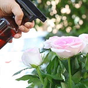 Watering