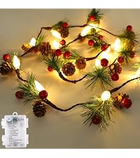 https://m.media-amazon.com/images/S/aplus-media-library-service-media/c80ed253-f9a5-4fd7-8cc8-adb0bc2a24d0.__AC_SR200,225___.jpg