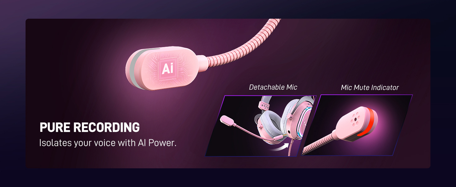 H13P mic