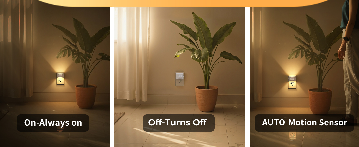Night Lights Plug into Wall