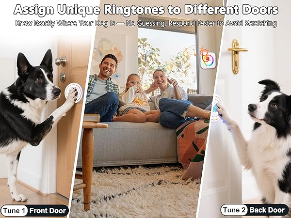 dog door bell