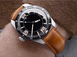watch band