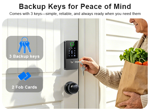 smart door lock