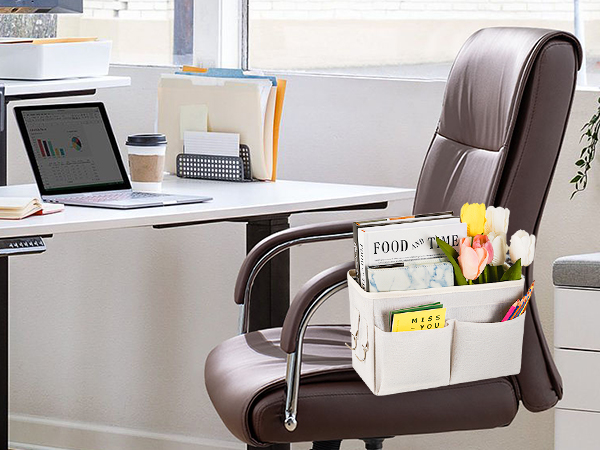Organizer Caddy for Storage