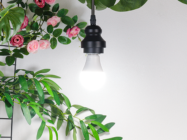 A19 LED Light Bulb