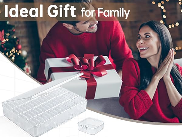 Bead Organizer: The Best Gift for Your Family.