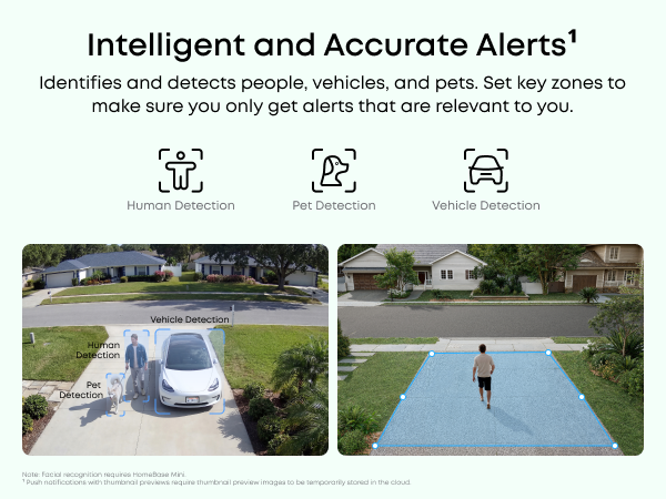 Smart AI Recognition