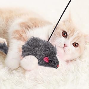 cat mice toy