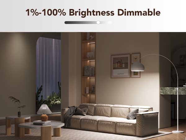 1000LM WiFi Bluetooth Color Changing Light Bulbs