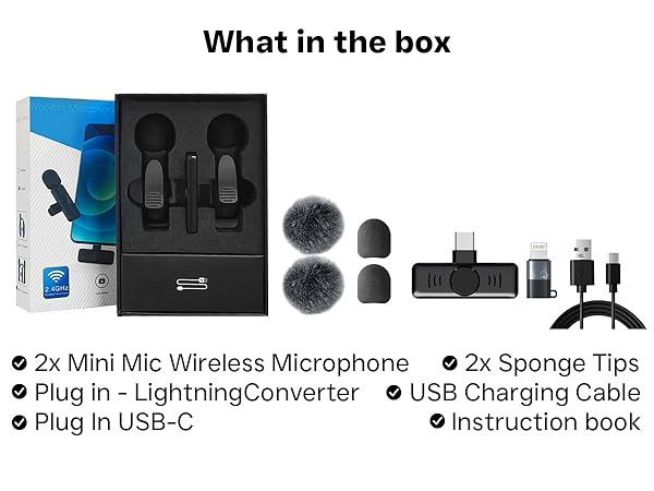 mini mic