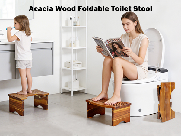 touilet stool