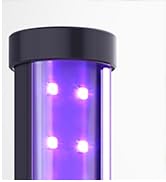 T10 Black light