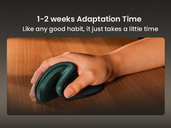 Ergonomic Vertical Mouse