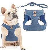 PUPTECK Dog Harness and Leash Set for Small Medium Dogs No Pull Step-in Soft Mesh Puppy Cat Vest ...