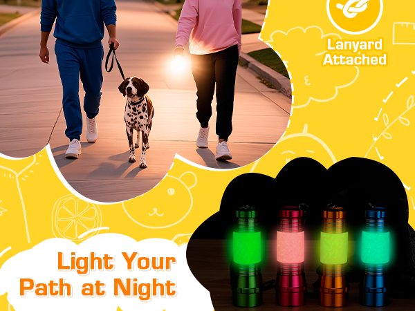 flash light bundle