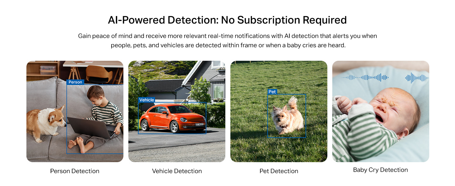 AI-Powered Detection