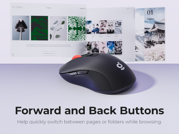 forward and back buttons