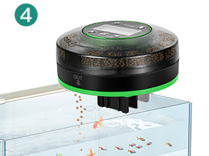 automatic turtle feeder