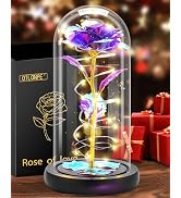 Otlonpe Forever Artificial Glass Rose Flower Lamp, Women Gifts for Birthday Christmas Valentines ...