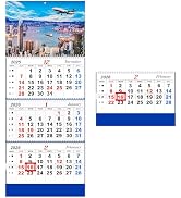 Whiidoom 2026 Wall Calendar 2026 Calendar 3-Month Display Vertical Calendar (Folded in a Month) 3...