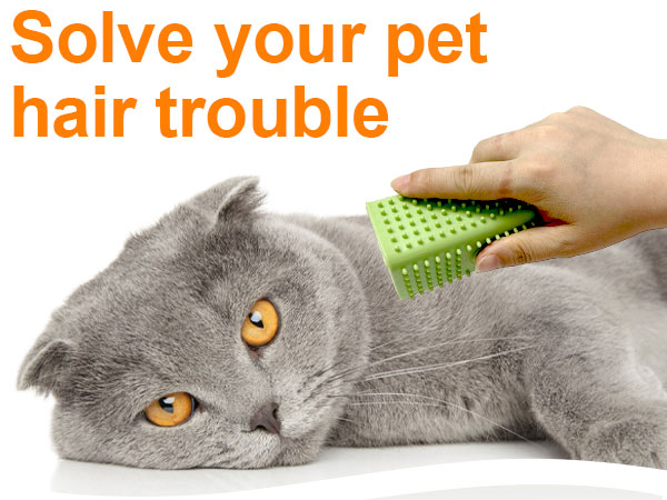 pet hair brush