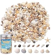 1200 Pcs Tiny Sea Shells, Seashells for Crafts with Small Shells Starfish Mixed Ocean Beach Spira...