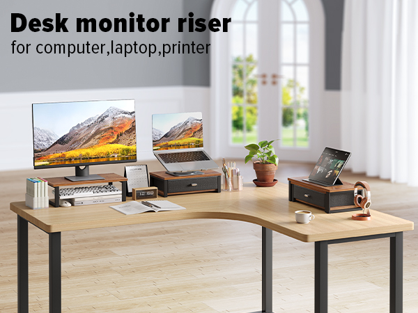 monitor riser