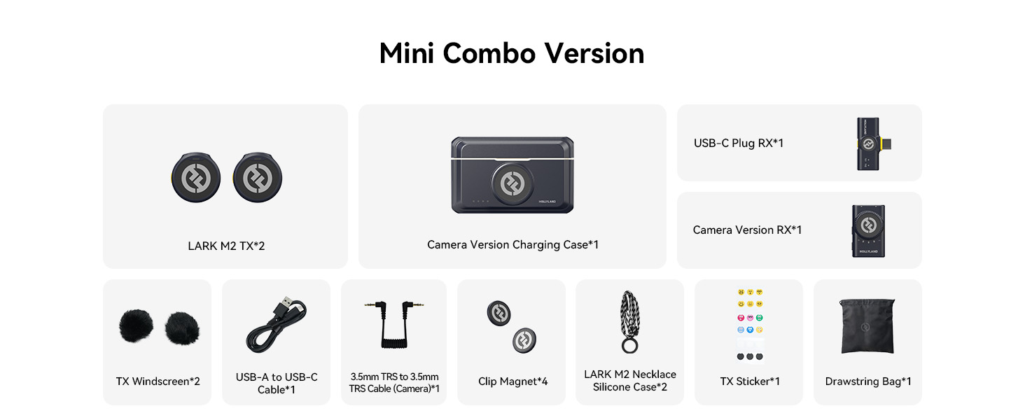 wireless microphone