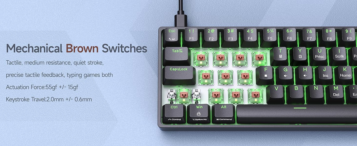 DK61SE- Brown Switch