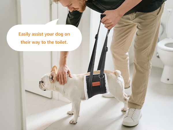 sling for dogs