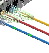 patch panel cat6