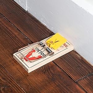 Victor easy set rat trap has an expanded trigger plate