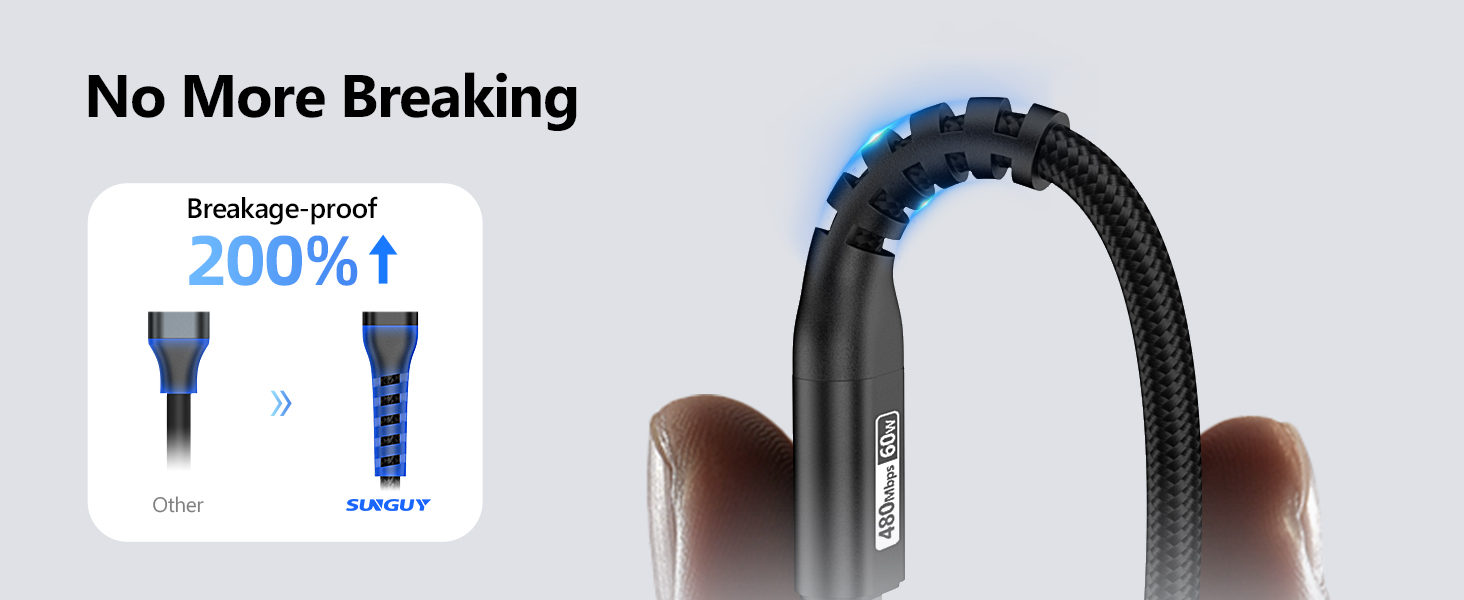 2 Foot USB C