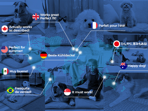 Join Our Global Pack of Happy Pets!