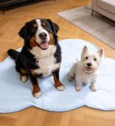 BECEMURU Dog Cooling Mat - 36" x 23" Reversible Cooling Pad for Crate, Kennel, Bed, Sofa - Machin...