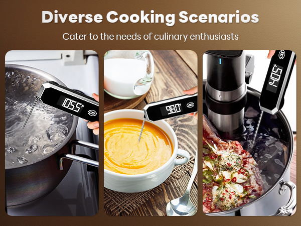 digital thermometer for cooking