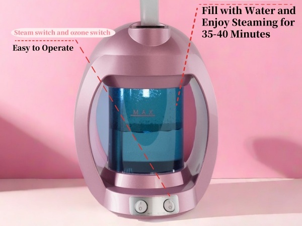 portable faical steamer