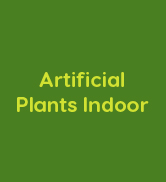 Artificial Plants Indoor